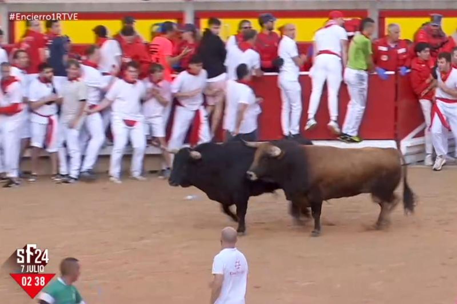 Dos astados rezagados en la plaza desatan la tensión en el primer encierro de San Fermín, sin heridos por asta de toro. Foto Dos astados rezagados en la plaza desatan la tensión en el primer encierro de San Fermín, sin heridos por asta de toro. Foto