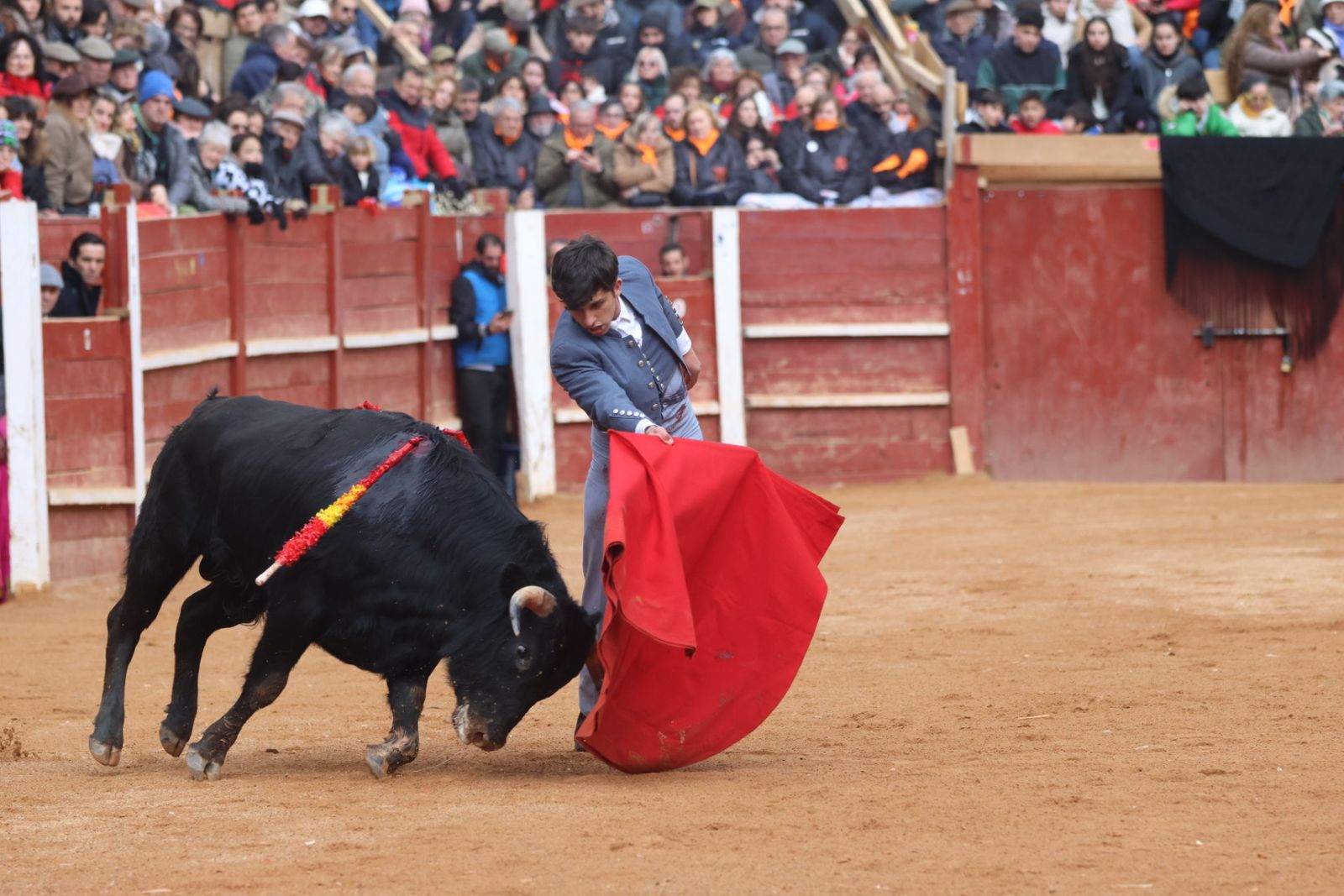 Novillada sin picadores del bolsín taurino y rejones en Ciudad Rodrigo
