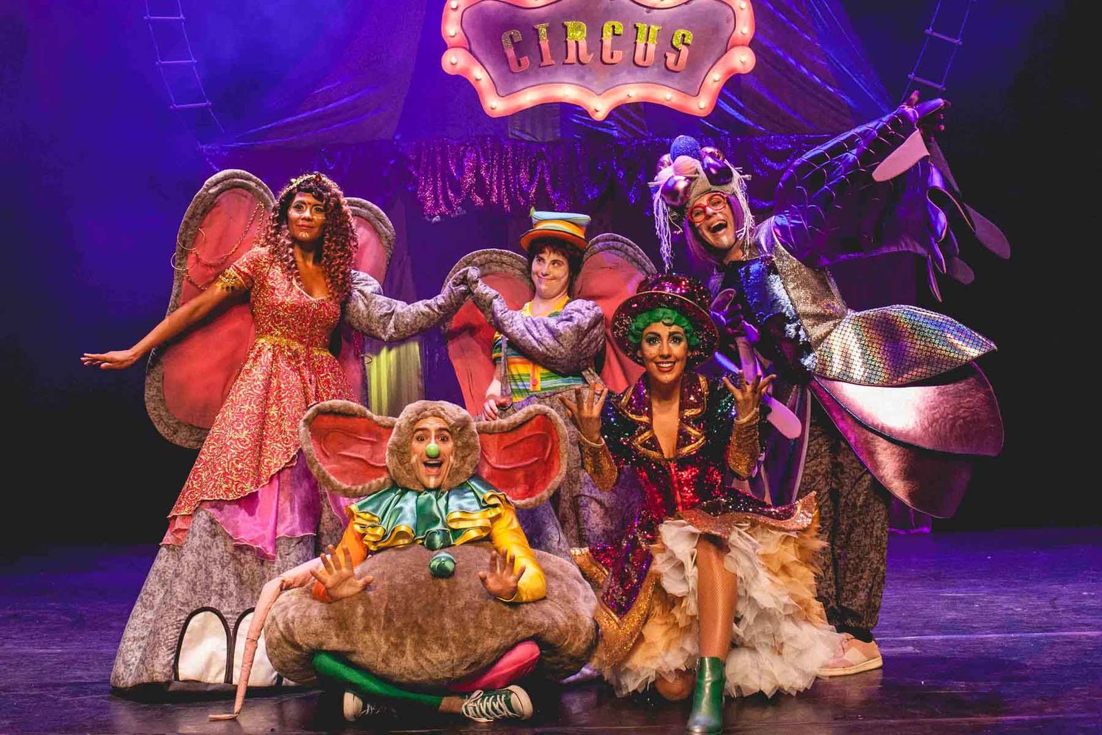 Imagen del musical Dumbo | Foto: Ayto. Salamanca