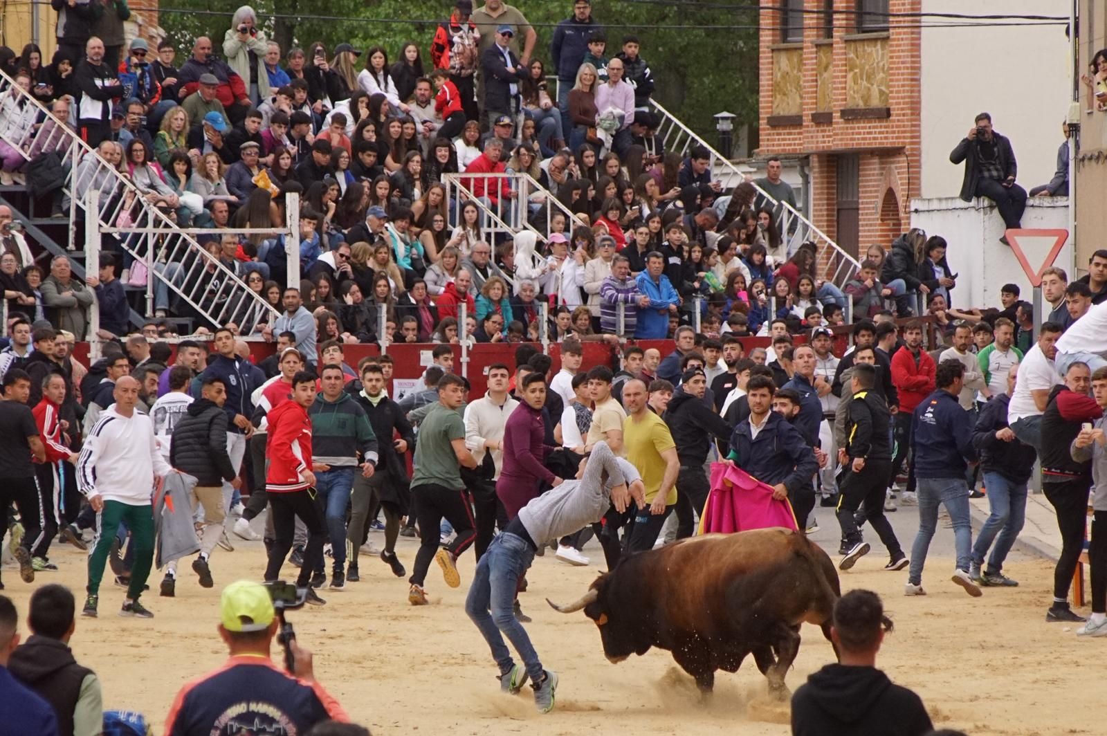 Villoria, toro del Voto