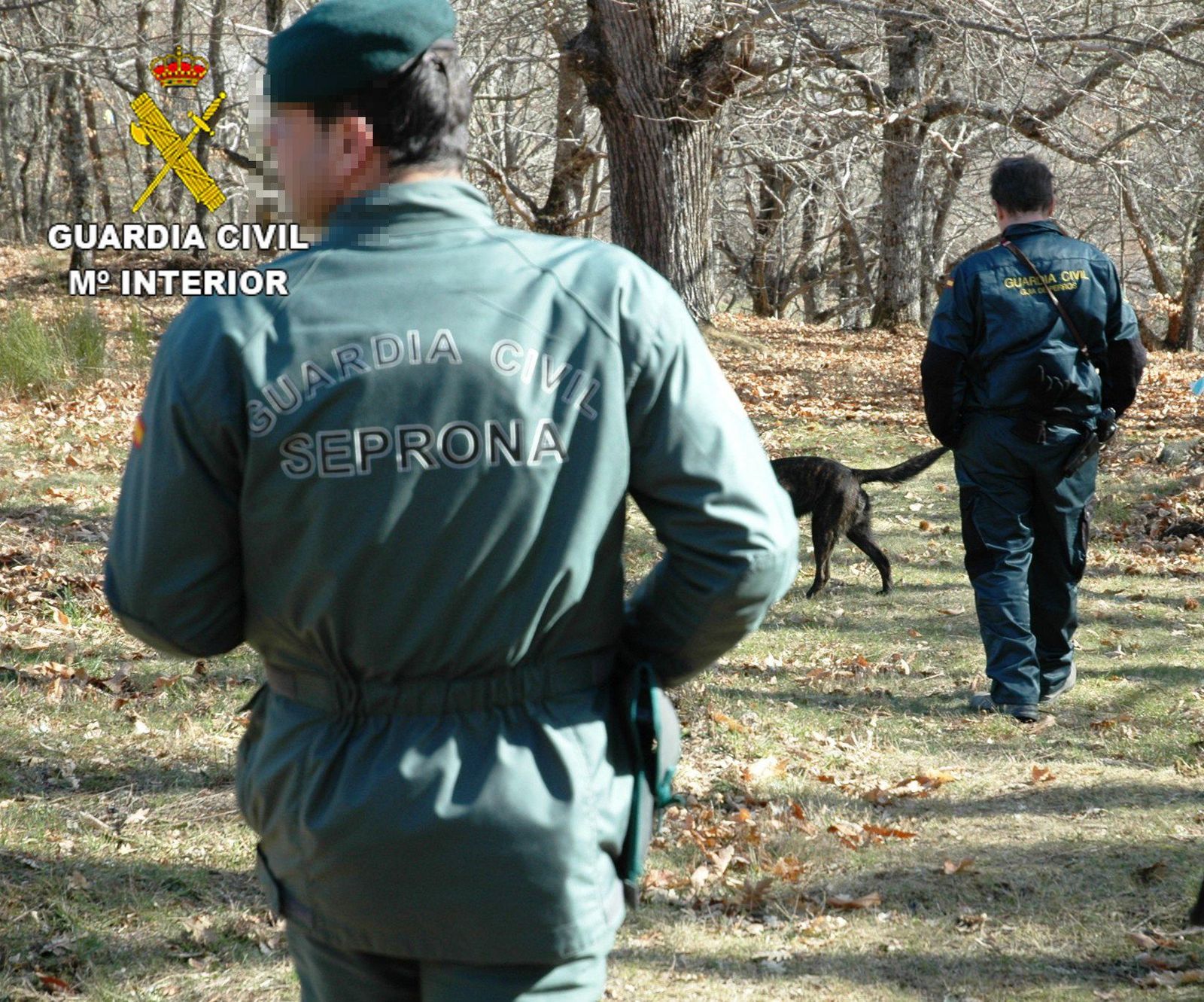 Las imágenes del operativo de búsqueda de Sanabria