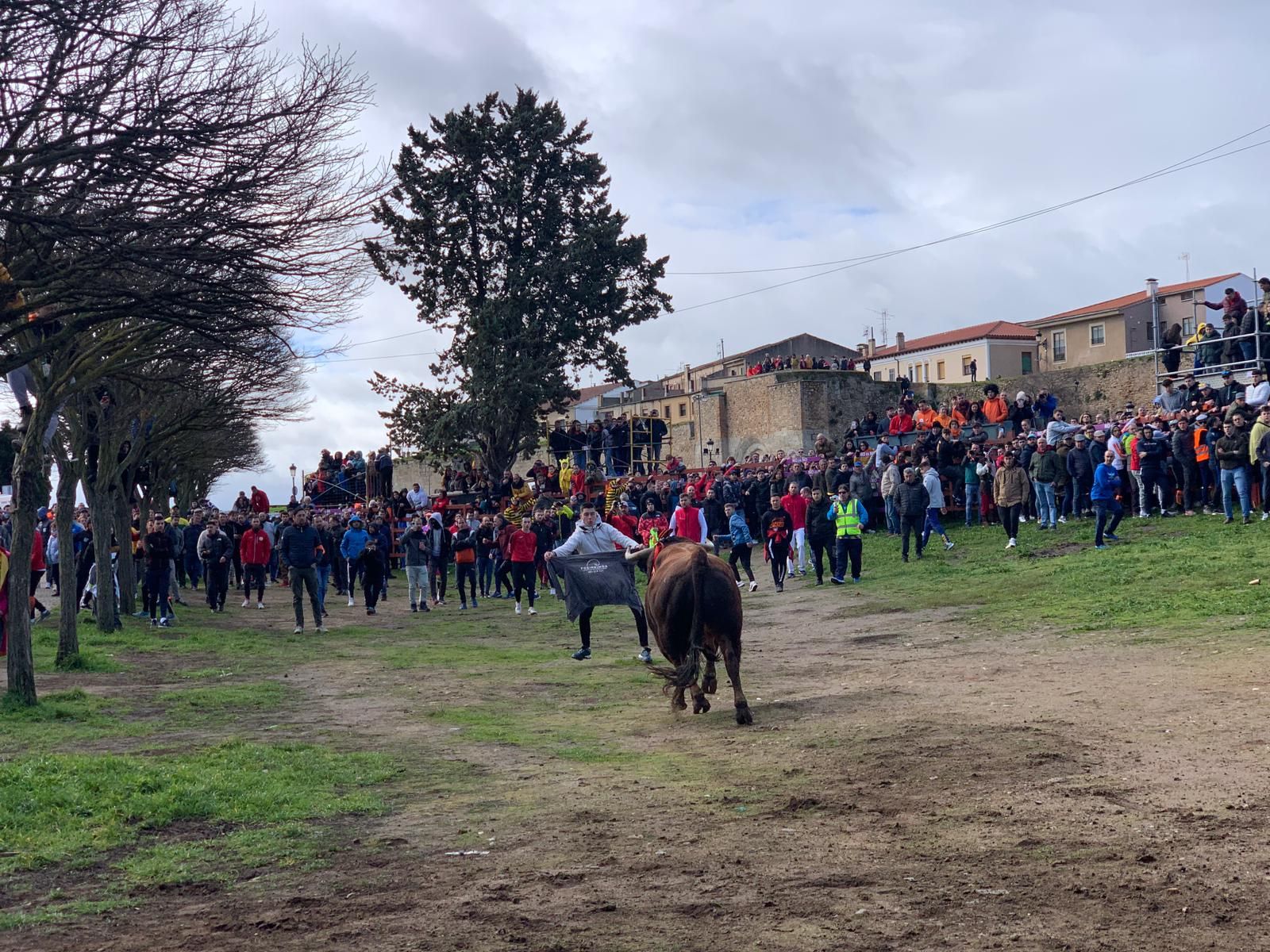 whatsapp-image-2024-02-10-at-11-36-11-2