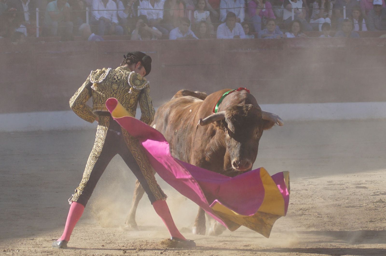 whatsapp-image-2024-06-02-at-22-12-00