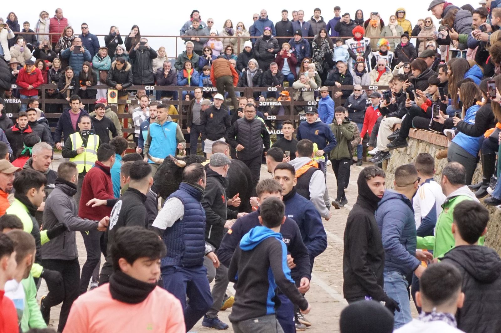 El encierro de Lunes de Carnaval en Ciudad Rodrigo en imágenes