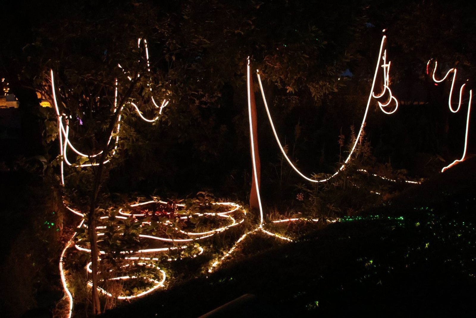 20240613213546-img-7537