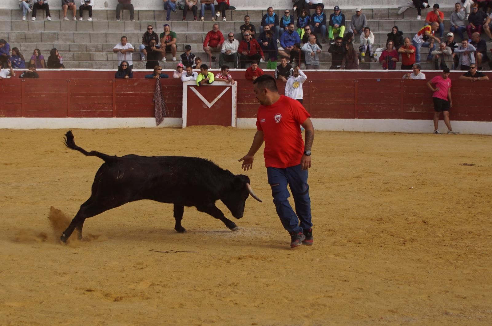 whatsapp-image-2024-09-08-at-14-04-58-4