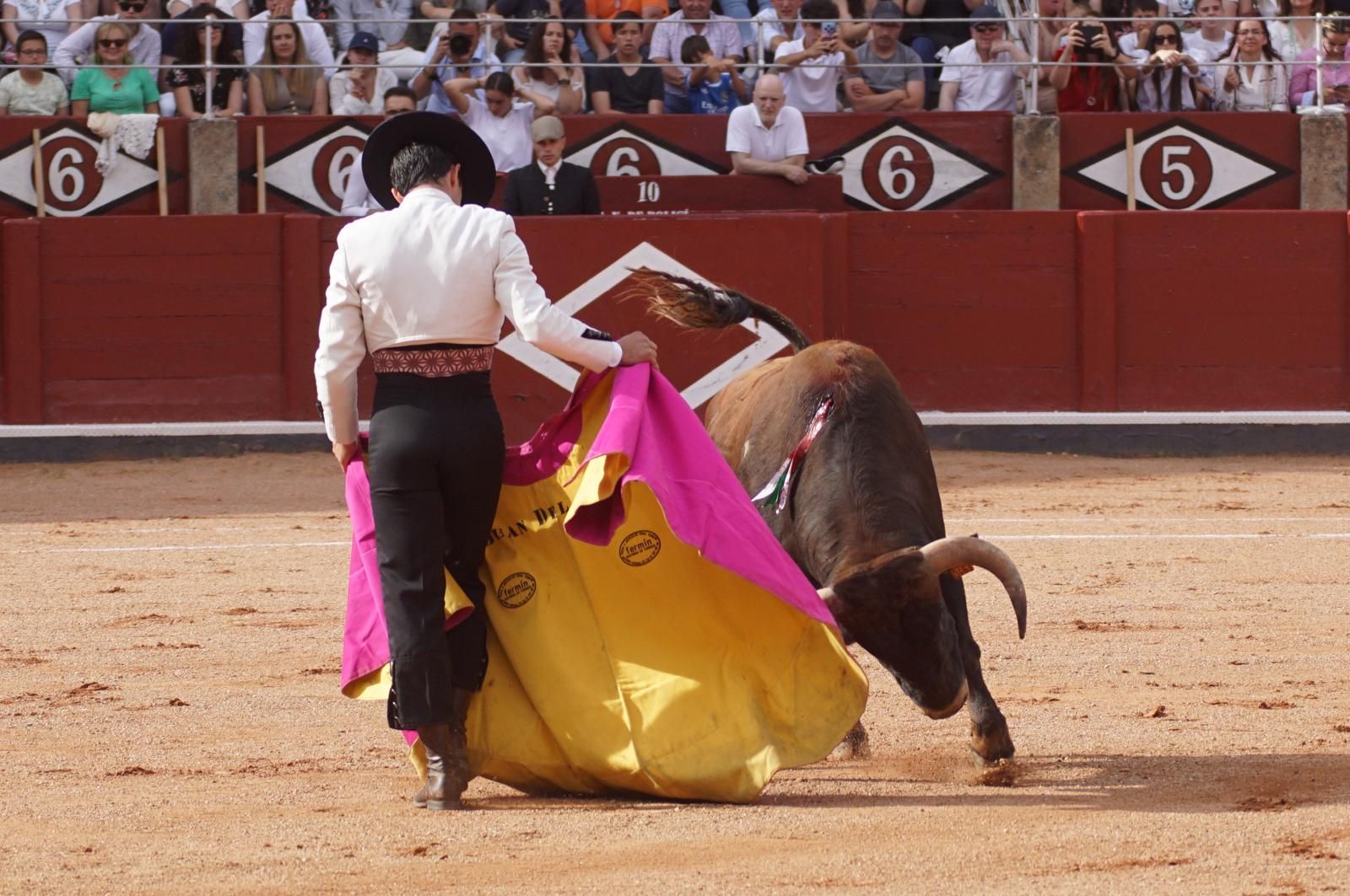 whatsapp-image-2025-06-12-at-21-25-03-3