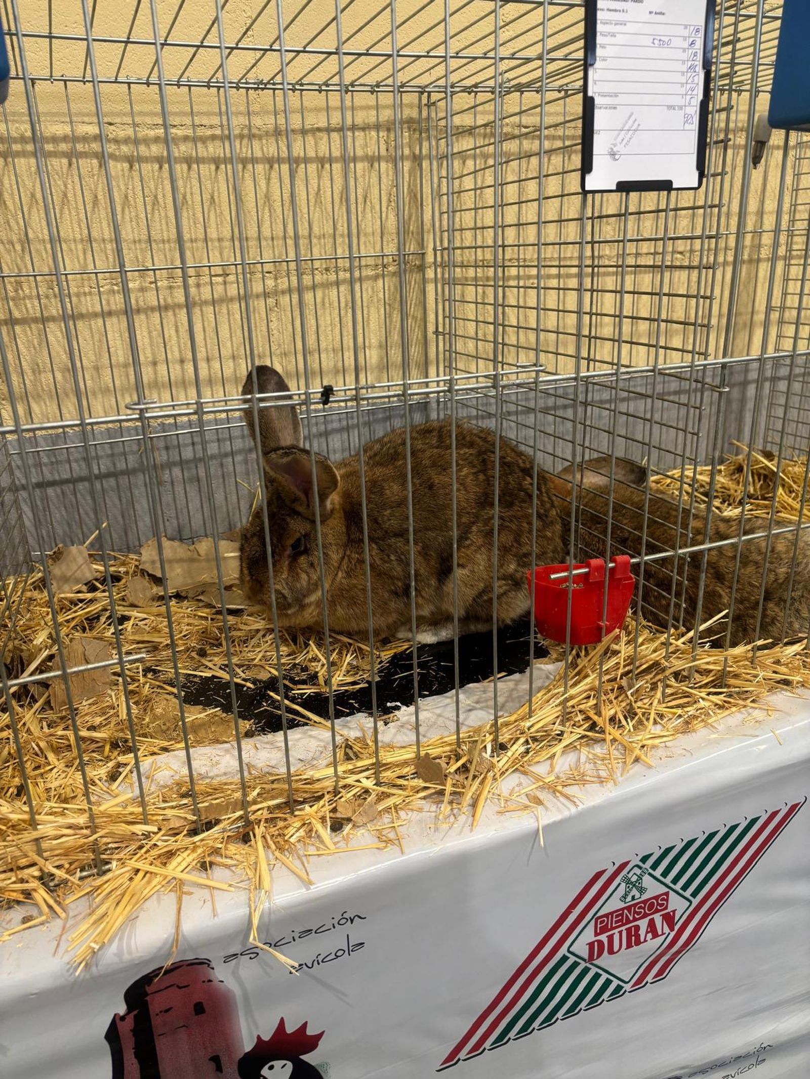 41d6789d-5915-4469-a8ef-04fbb372d89c