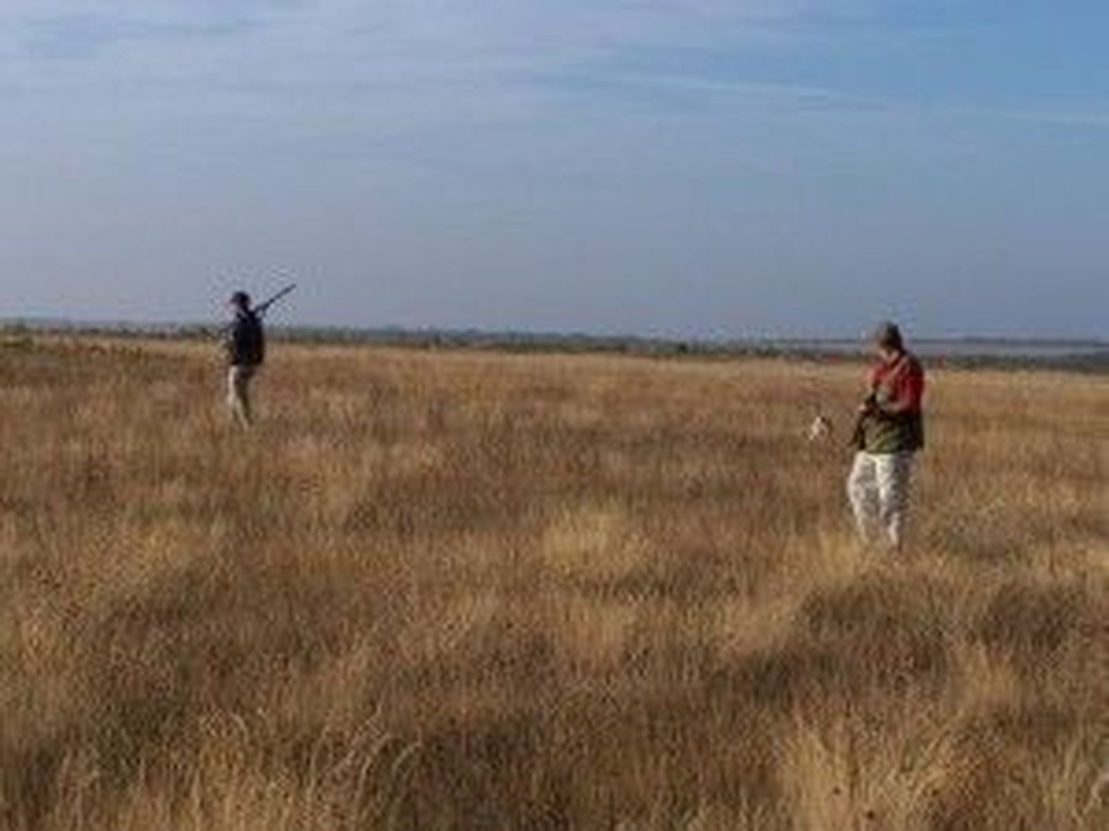 Mañana comienza la temporada de caza menor en Castilla y León Mañana comienza la temporada de caza menor en Castilla y León