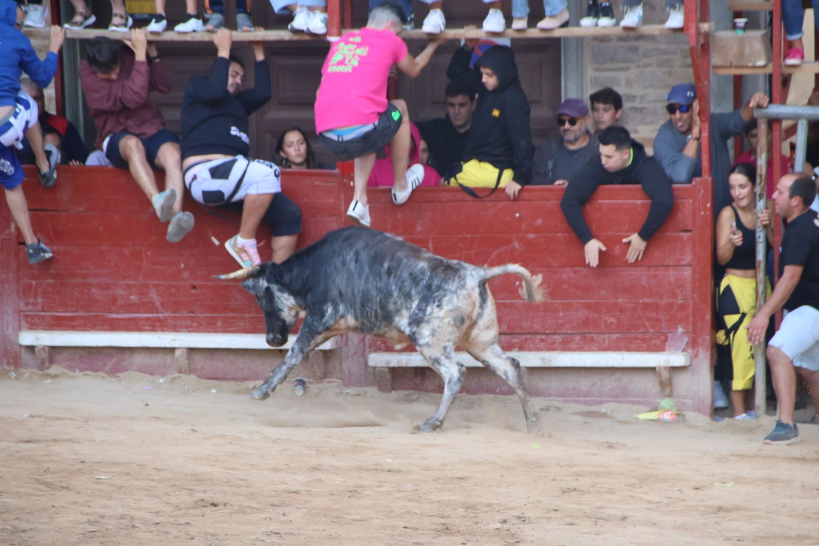 Encierro en Aldeadávila