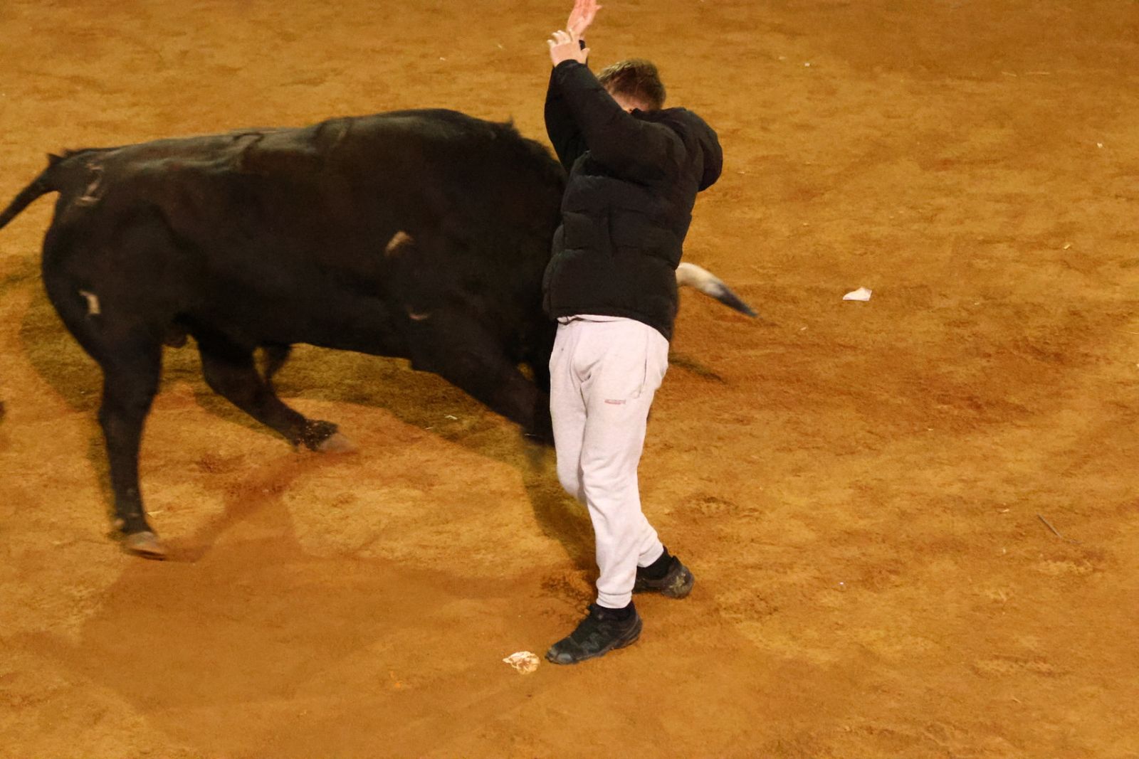 Capea nocturna de lunes en el Carnaval del Toro 2026