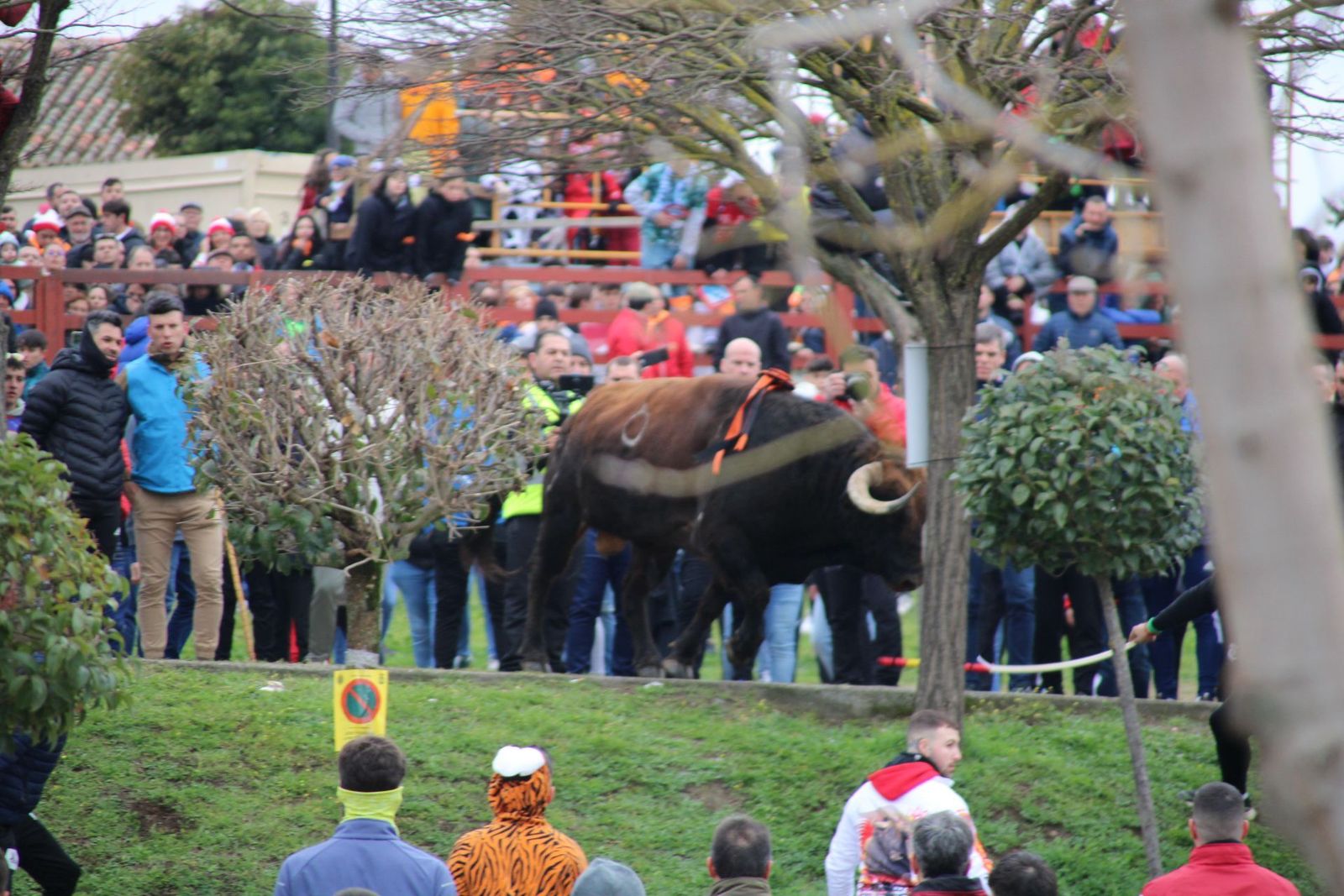 whatsapp-image-2025-03-01-at-11-56-37-1