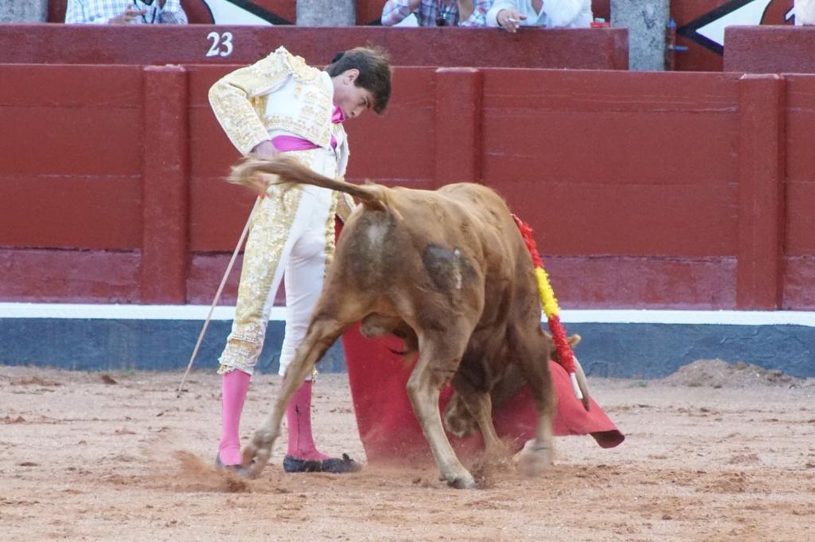 whatsapp-image-2023-09-08-at-21-25-01-3