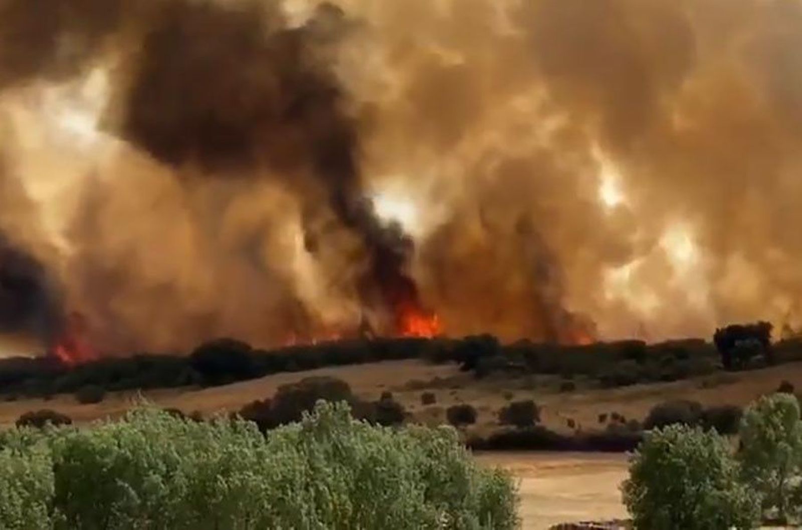 WhatsApp Image 2020 08 15 at 18.04.24