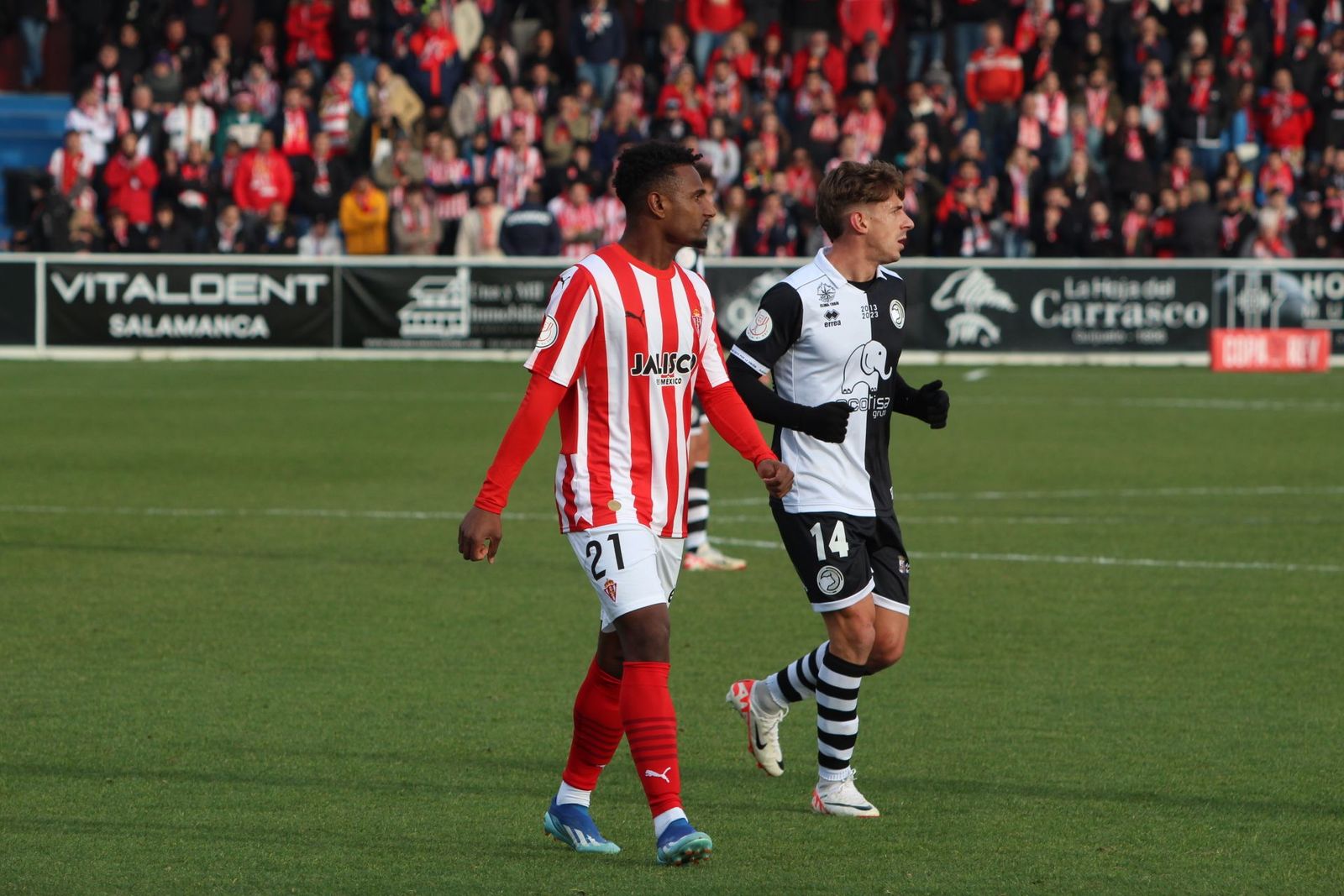 20231206180541-img-6852