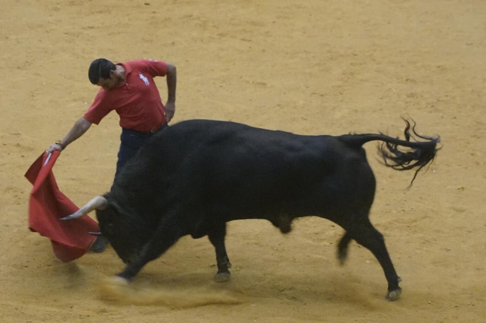 Toro del cajón y capea en Alba de Tormes