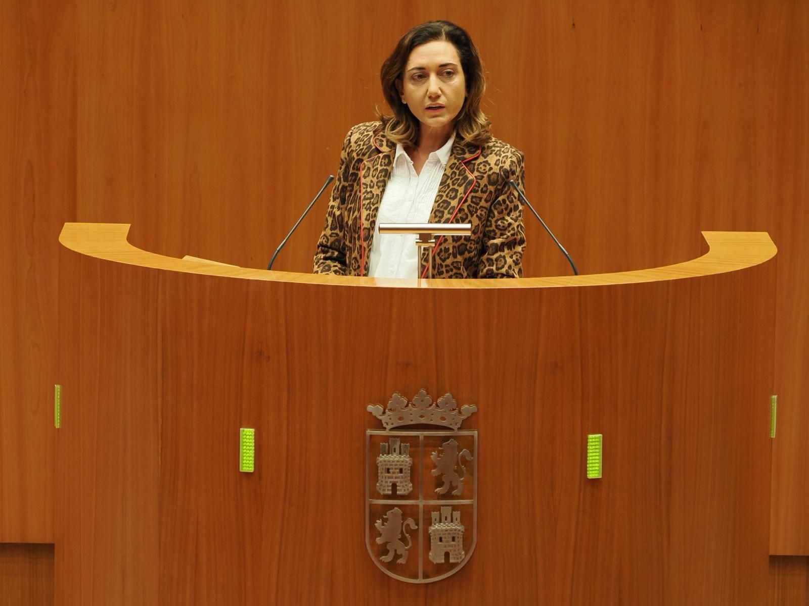 La procuradora de Unión del Pueblo Leonés (UPL) Alicia Gallego (1)