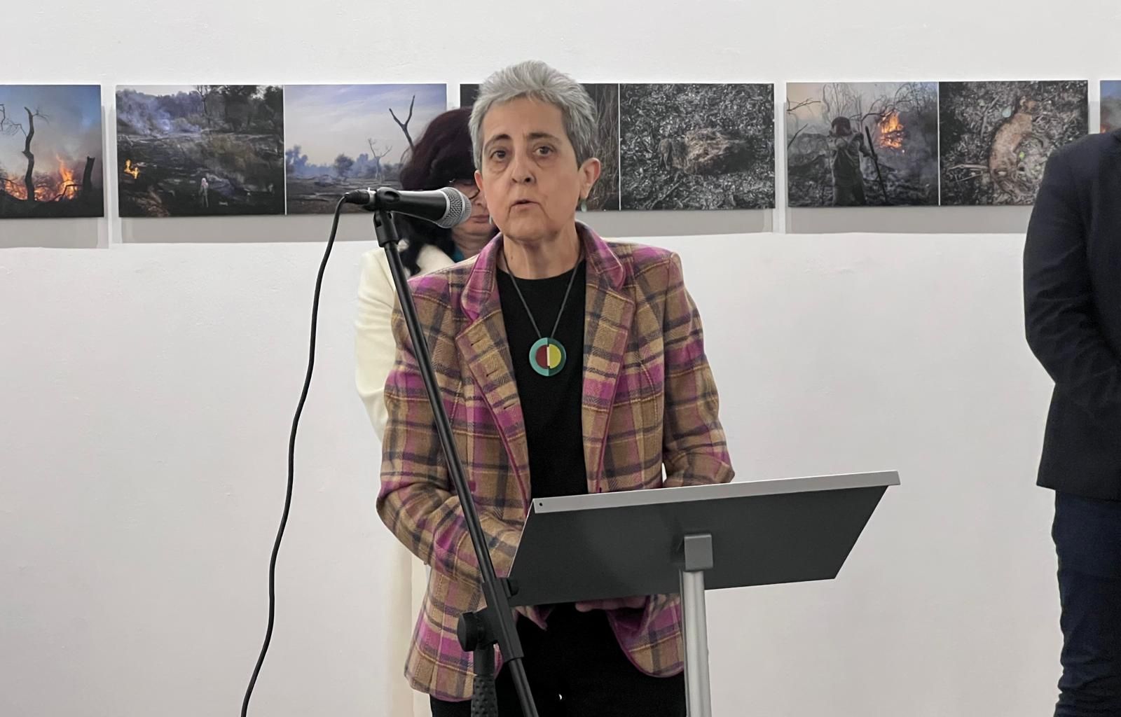 Exposición 'Transversalidades' en el Museo de Salamanca