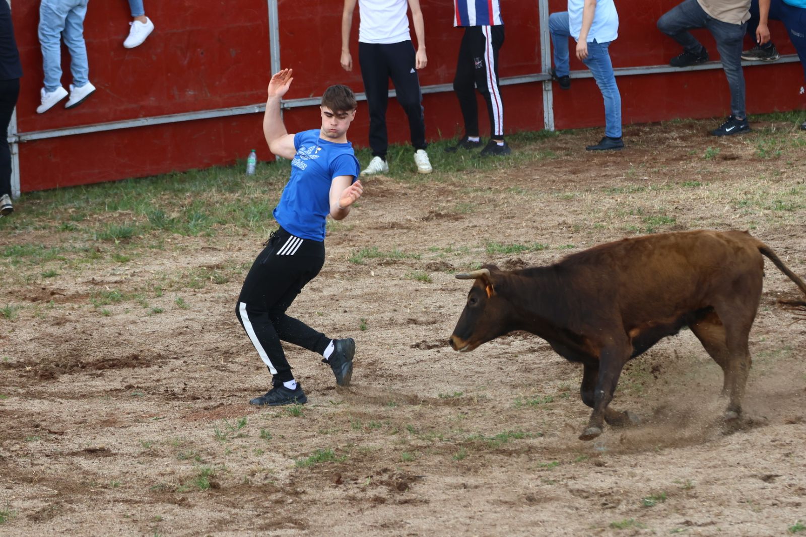 Grand Prix y Capea en Doñinos