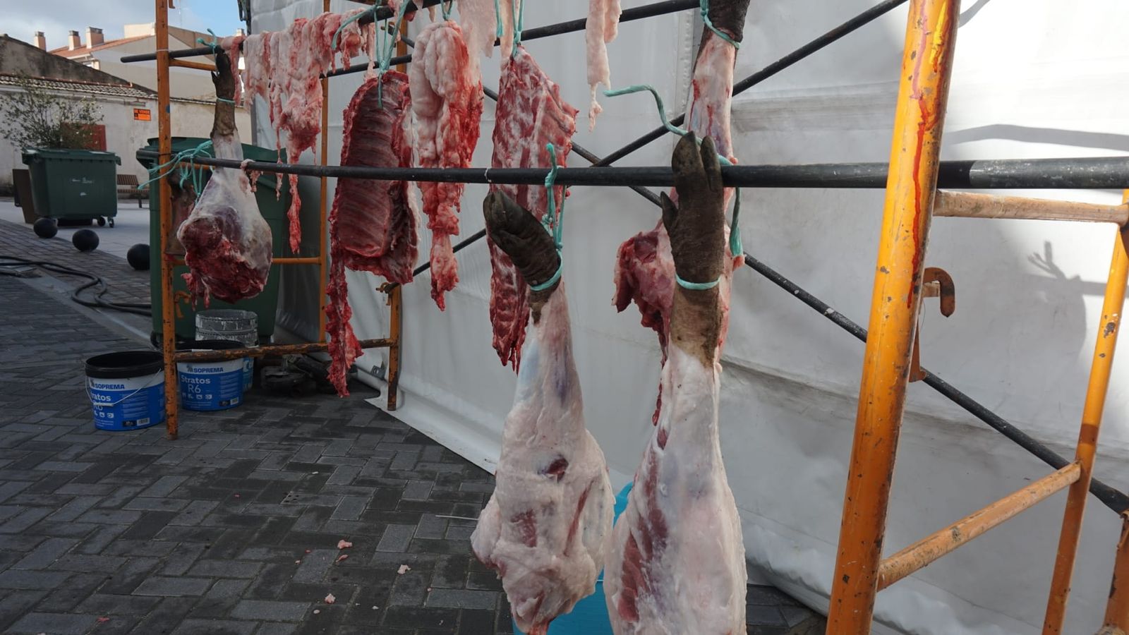 Matanza tradicional en Castellanos de Moriscos