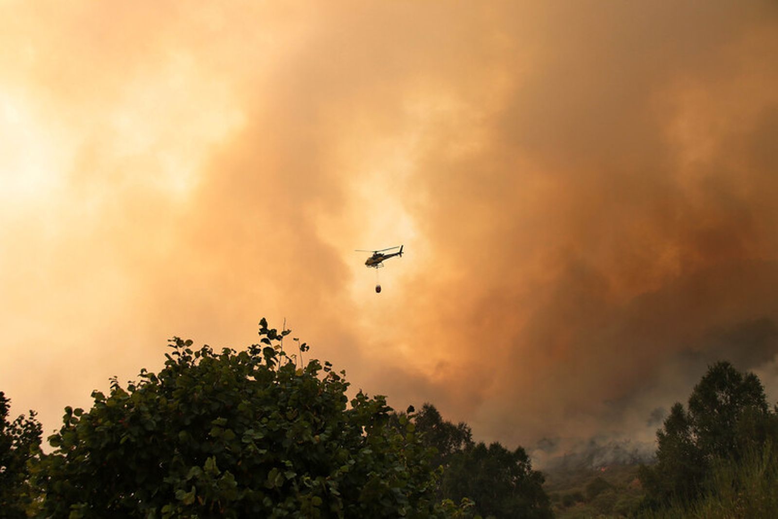 Incendio en Fasgar. Ical