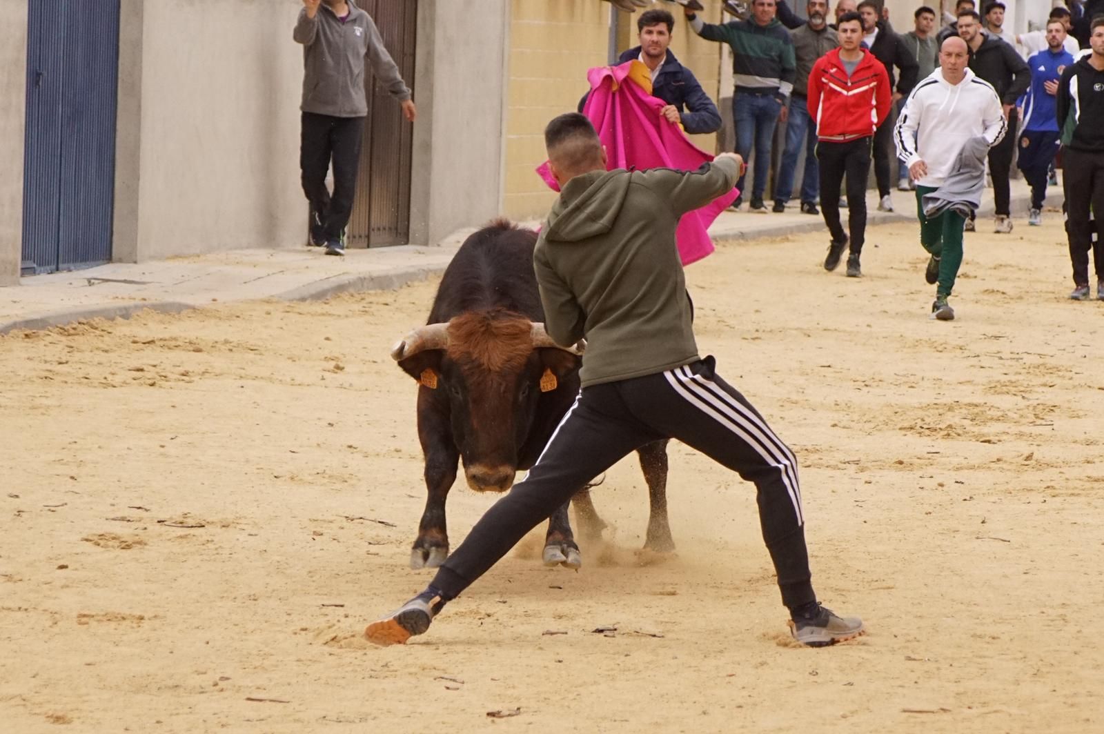 Villoria, toro del Voto