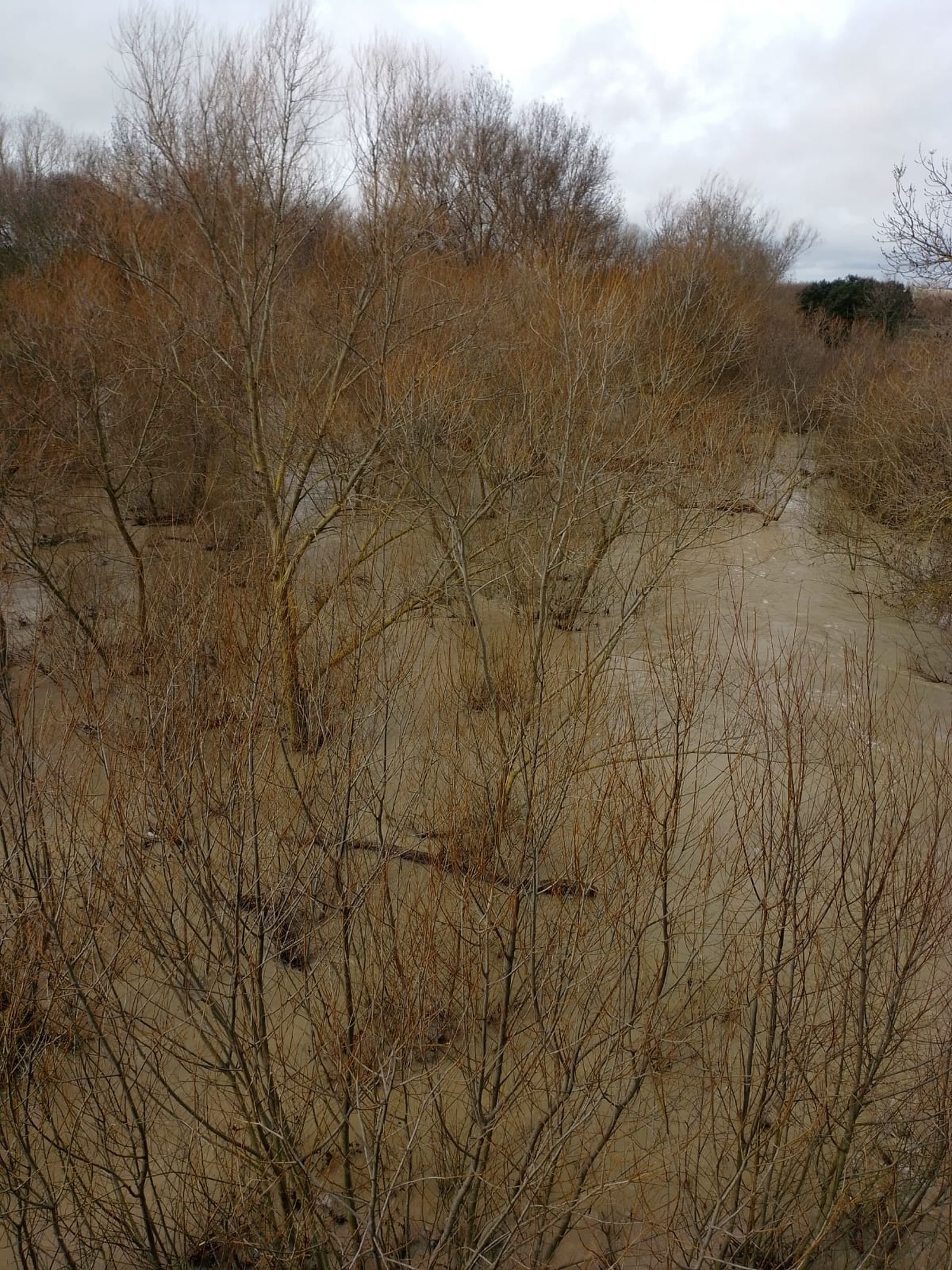 Garcihérnandez, el río Gamo se desborda (2).jpeg