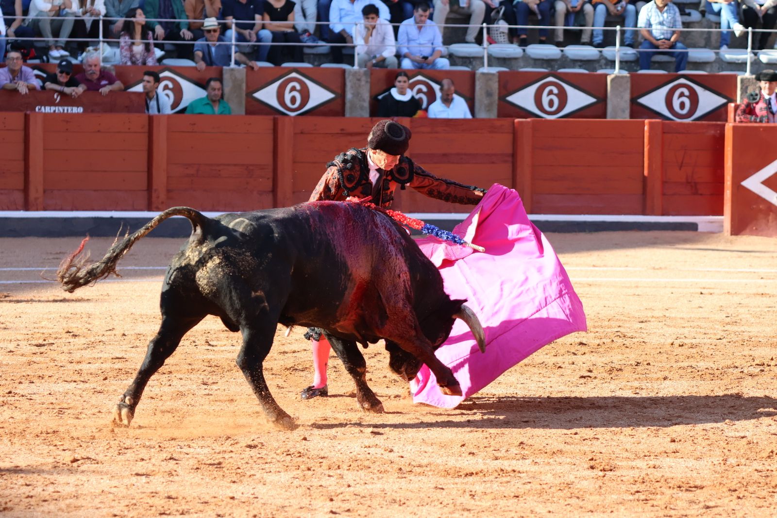 La Glorieta revive el aroma de la feria taurina con el primer festejo: Lea Vicens, Raquel Martín y Olga Casado