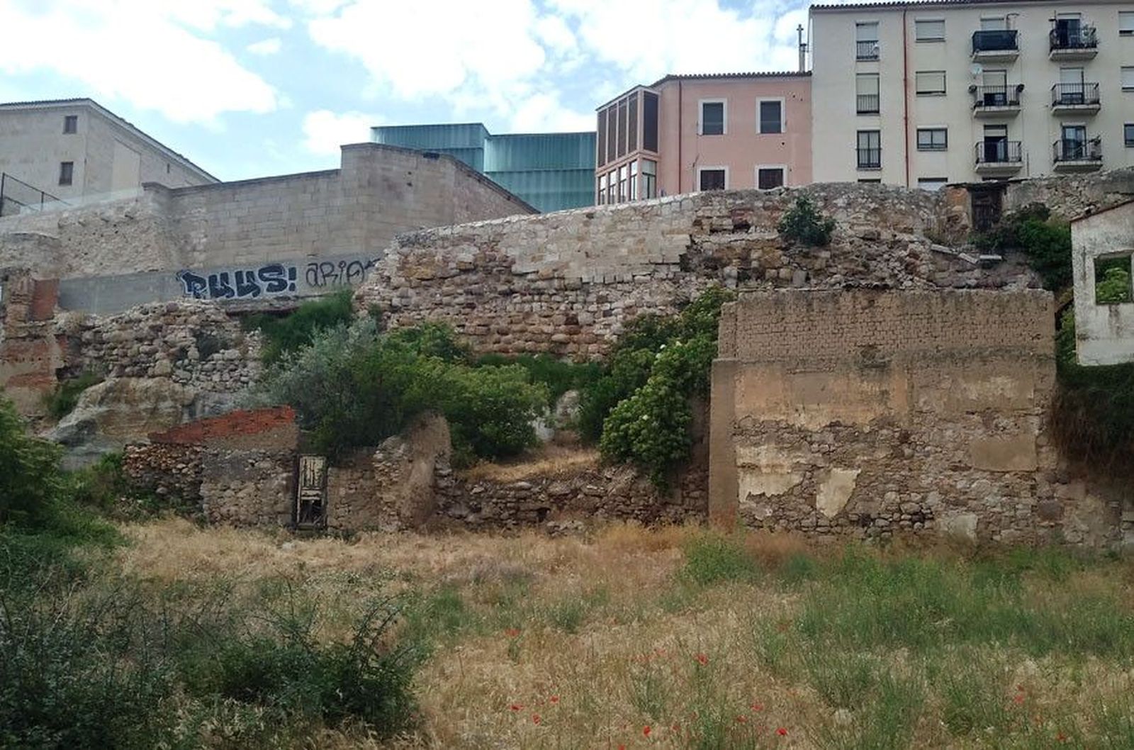 Muro herreros alfonsoxii Muro herreros alfonsoxii