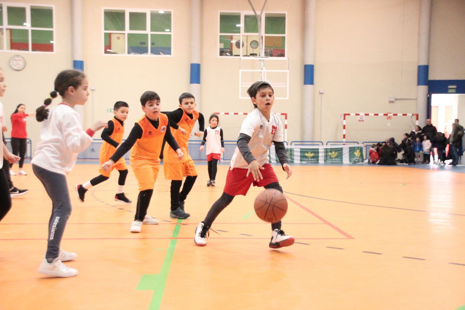 20230318115125-img-6521