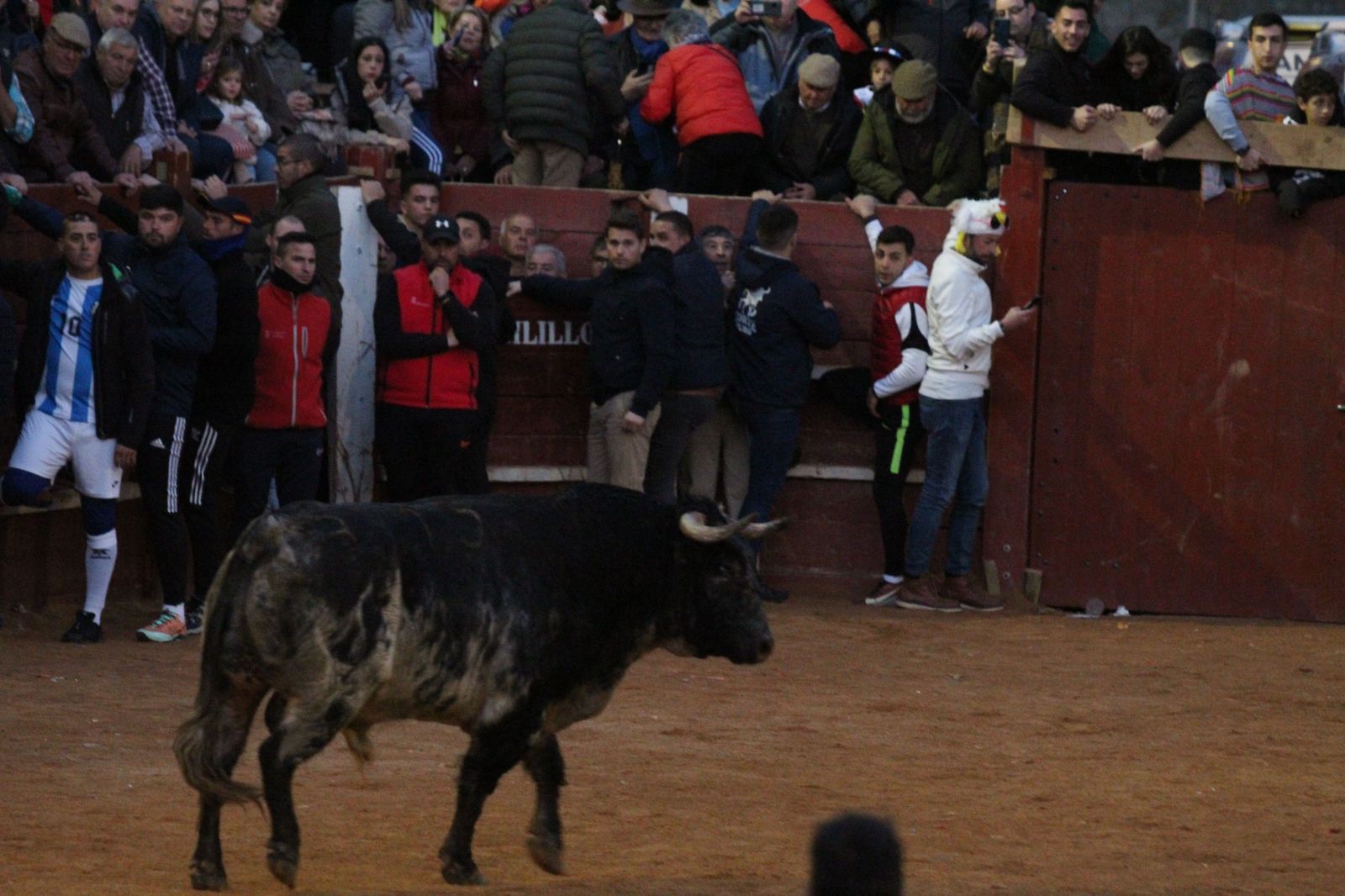 capea-de-ciudad-rodrigo-37