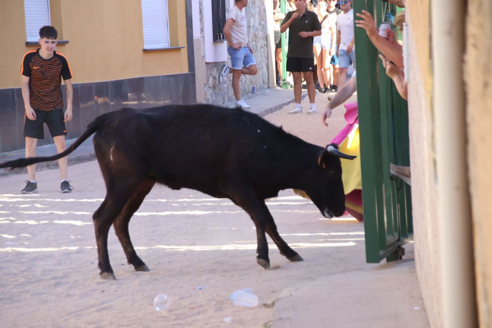 20240817185416-img-4501