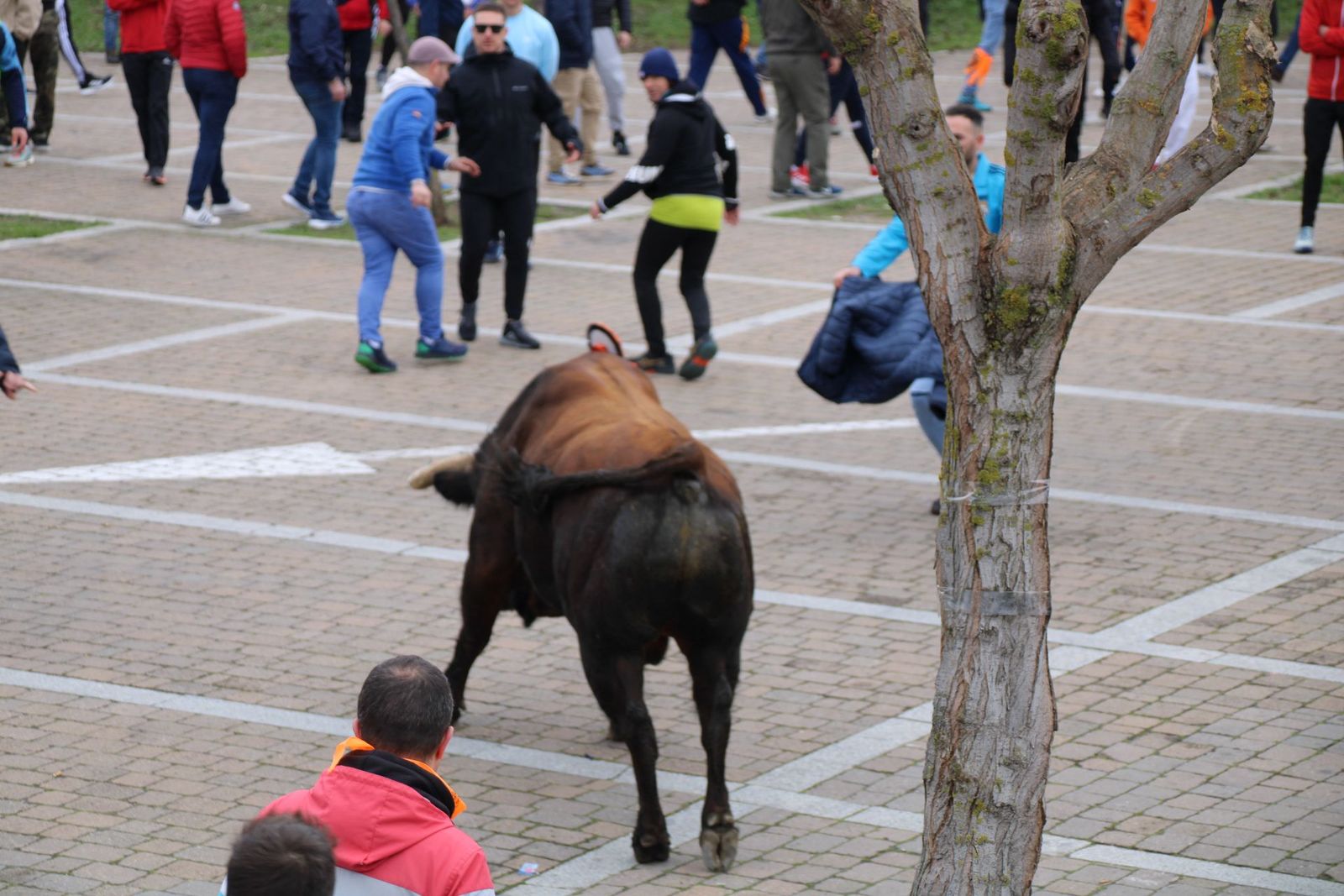 whatsapp-image-2025-03-01-at-11-56-21-2