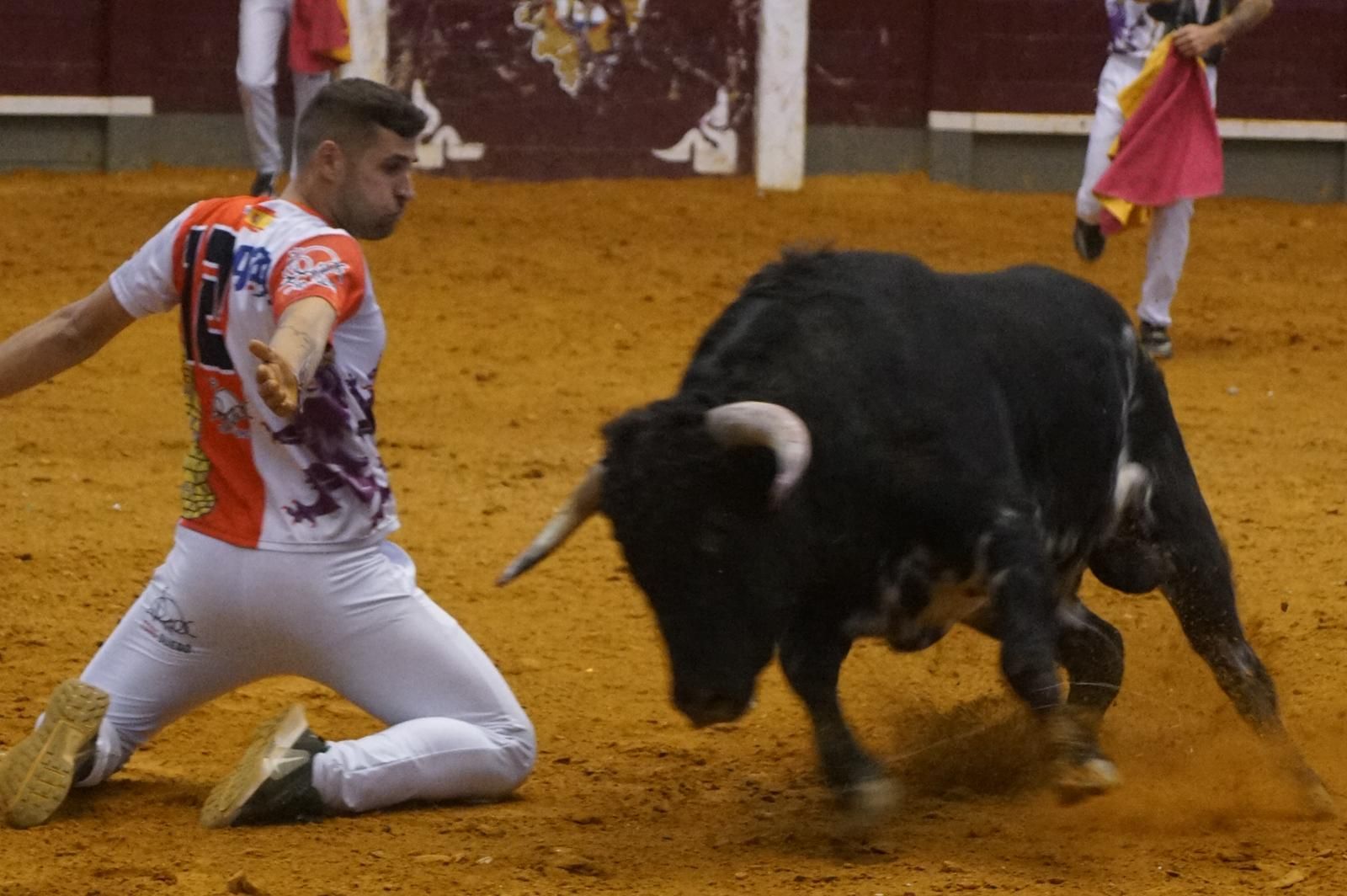 Alba de Tormes celebra un nuevo concurso de cortes