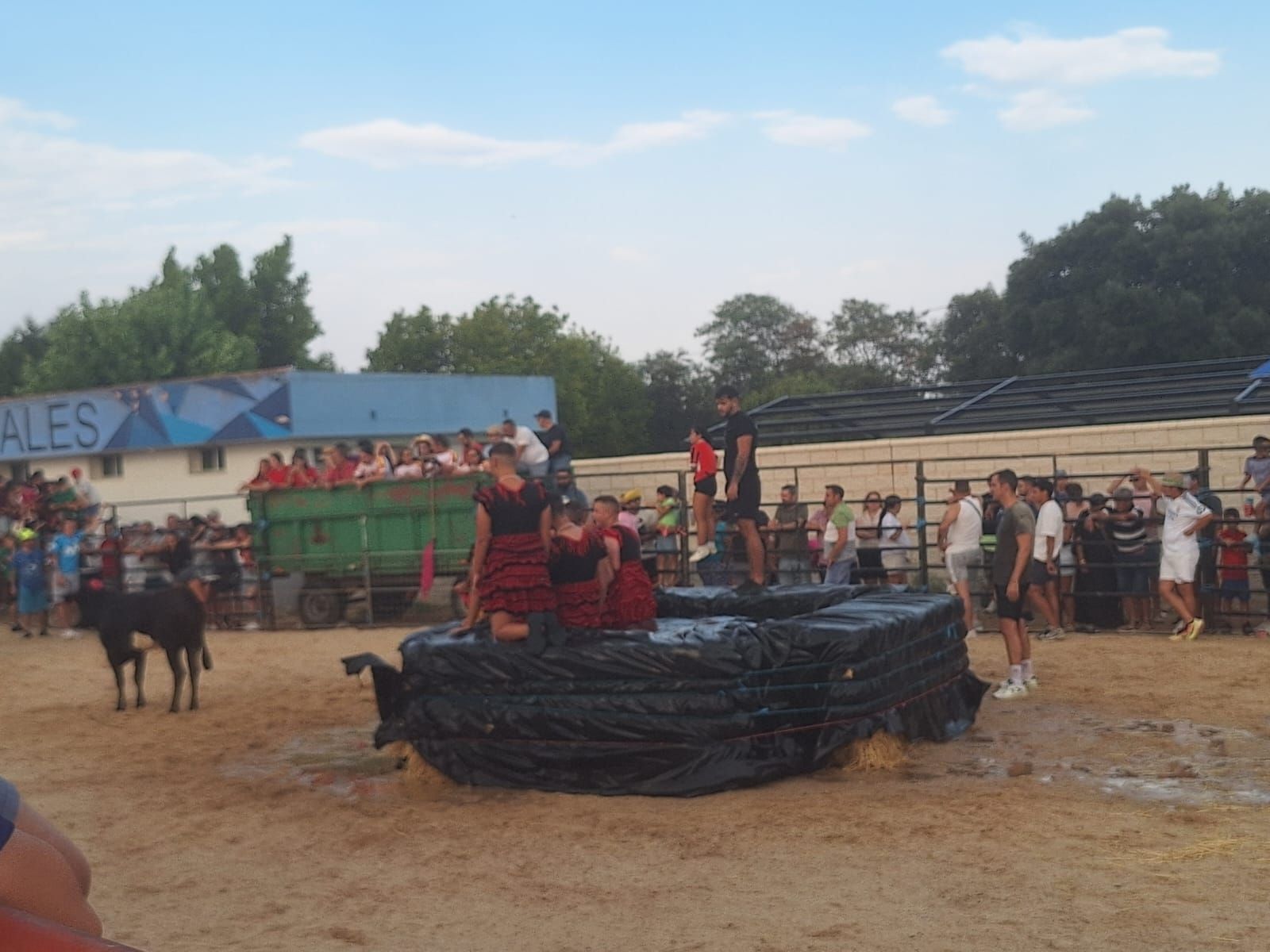 Cientos de personas disfrutan de las vaquillas de Valdelosa