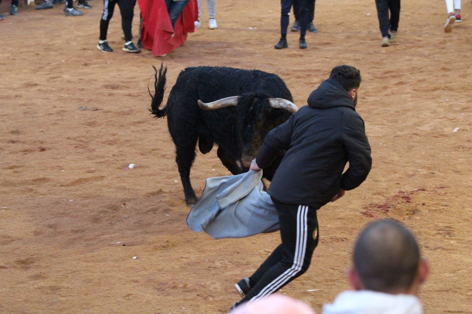 capea-de-ciudad-rodrigo-13