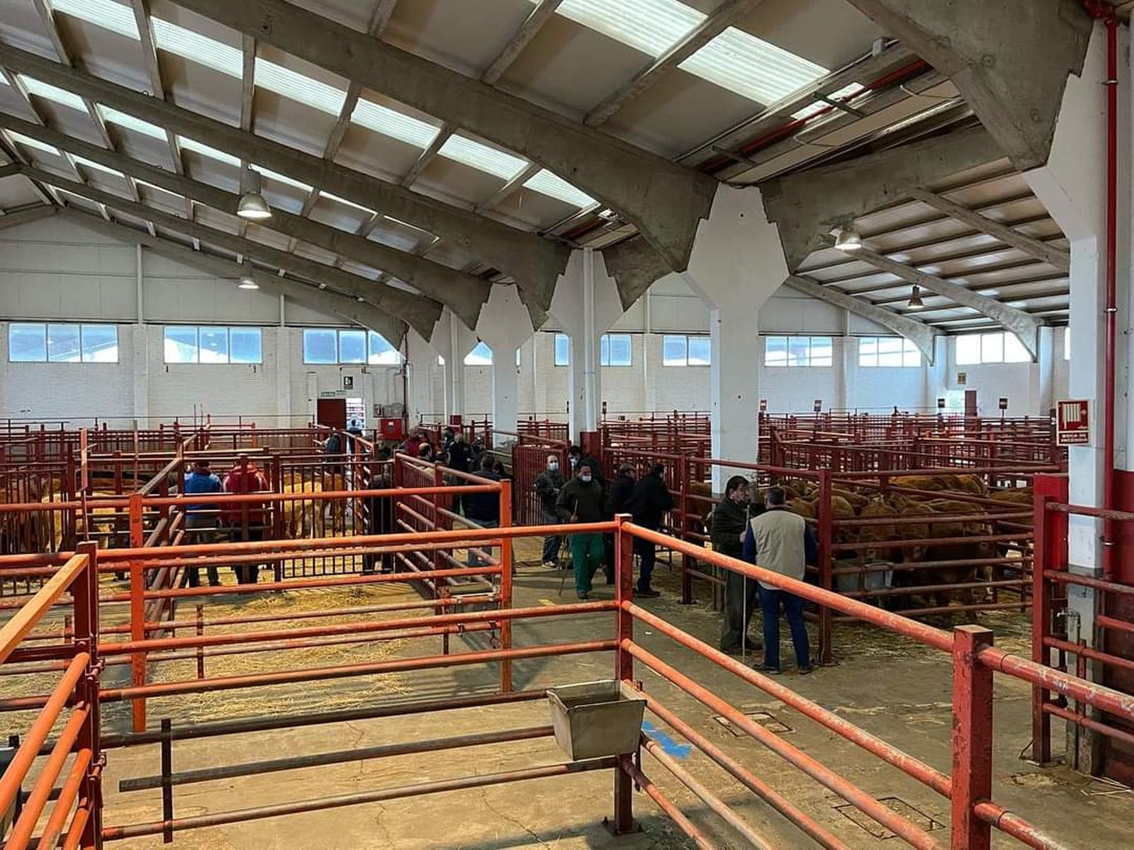 Fotografía de las instalaciones del Mercado de Ganados de Salamanca - Foto de archivo