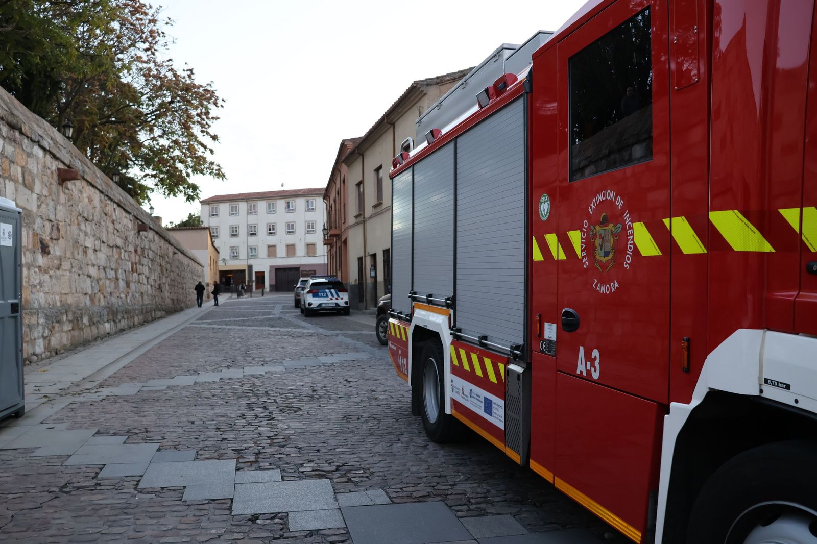 Rescate del ciervo en el Parking de San Martín (4).JPG