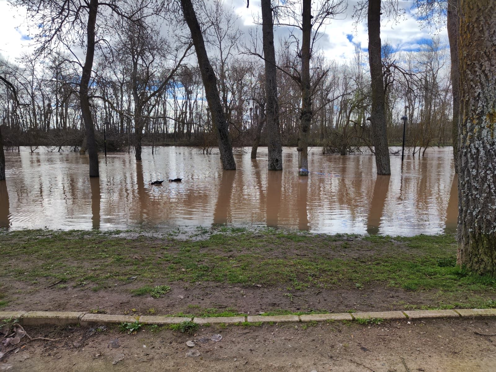 GALERÍA | Crecida del río Duero en Zamora este martes