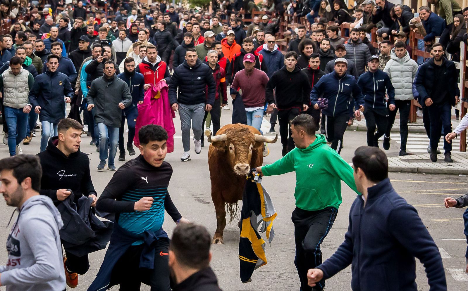 Gran expectación con el Toro de San Sebastián de Ciudad Rodrigo