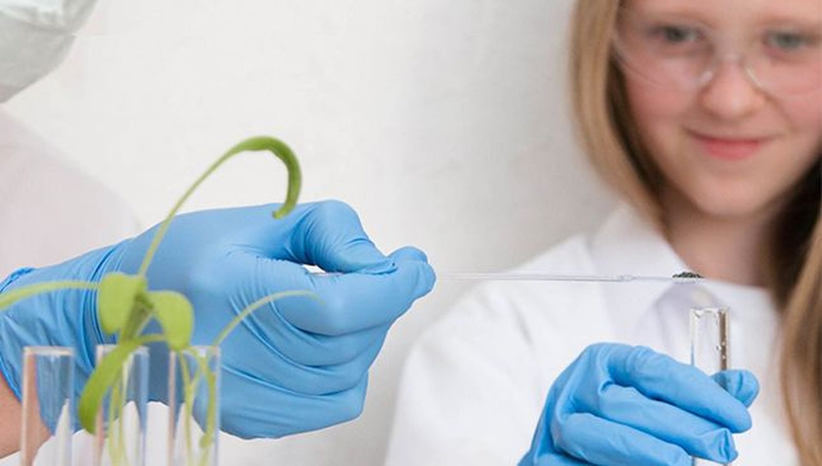 Campamentos de verano