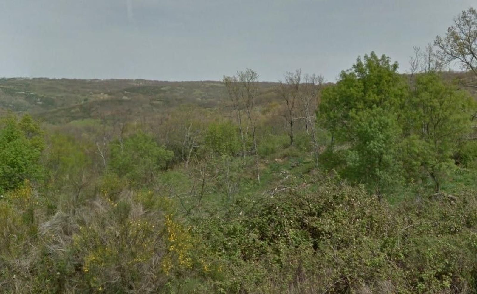 Ciudadanos reclama la actuación de Agricultura y Medio Ambiente para solucionar el problema del minifundio forestal