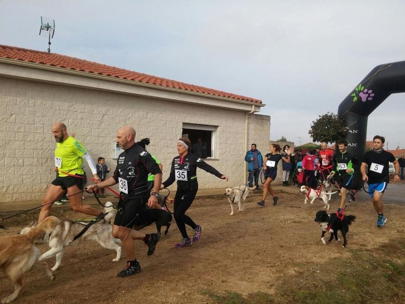 Gomecello abre la Liga de Canicross