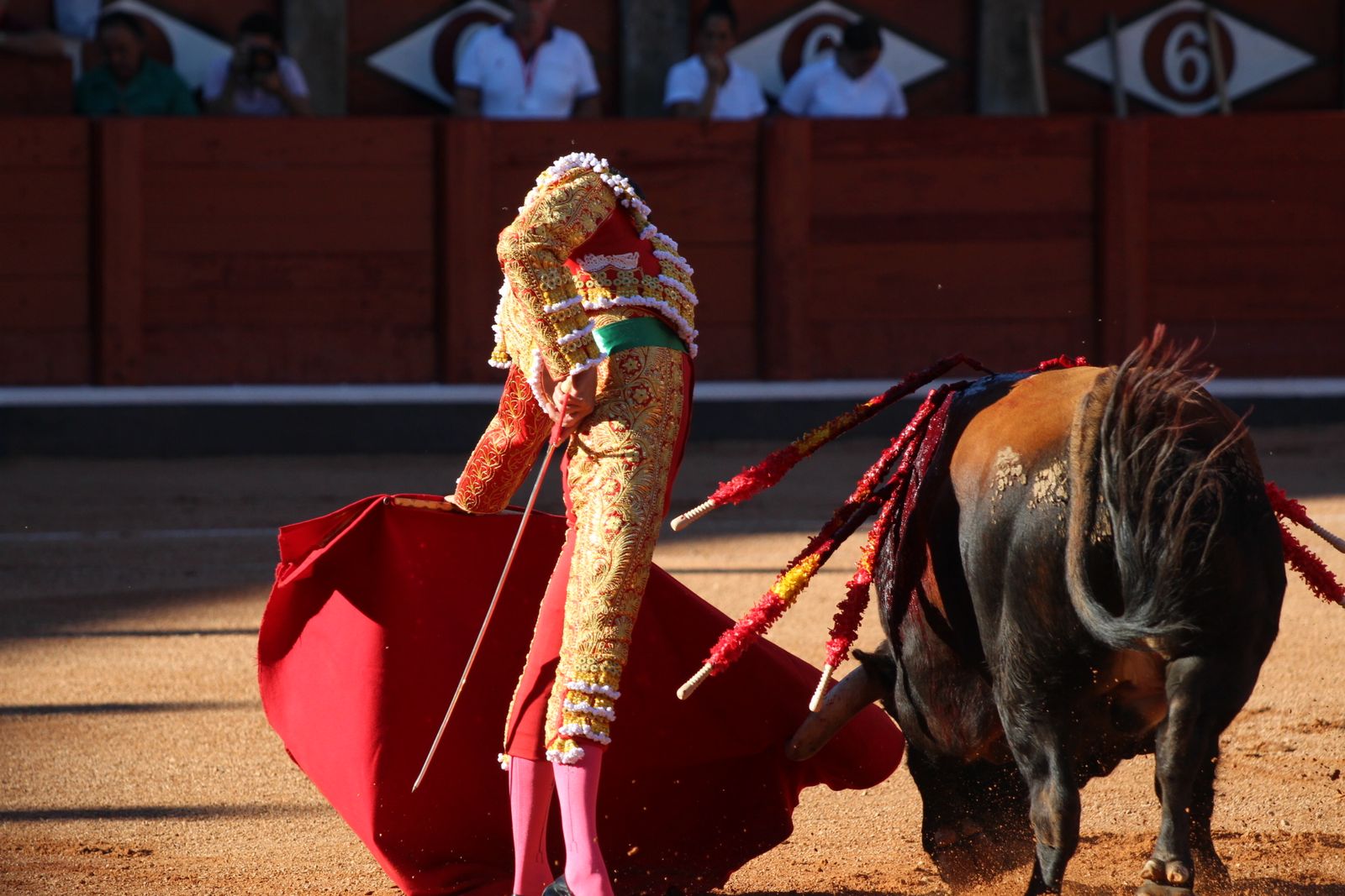 Emilio de Justo, Juan Ortega y Roca Rey inauguran el cartel de figuras en la feria de Salamanca: la corrida de Garcigrande en imágenes