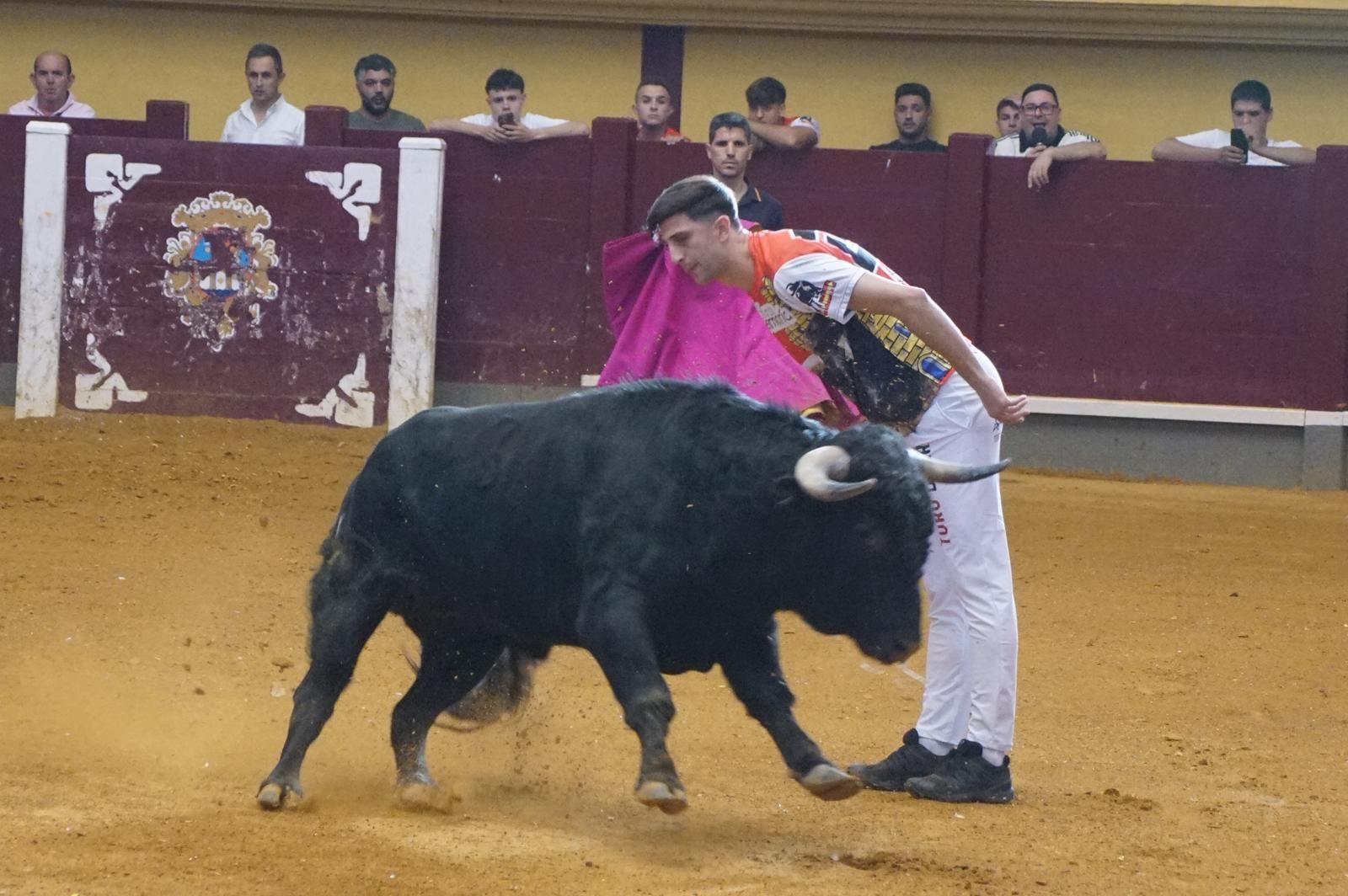 Alba de Tormes celebra un nuevo concurso de cortes
