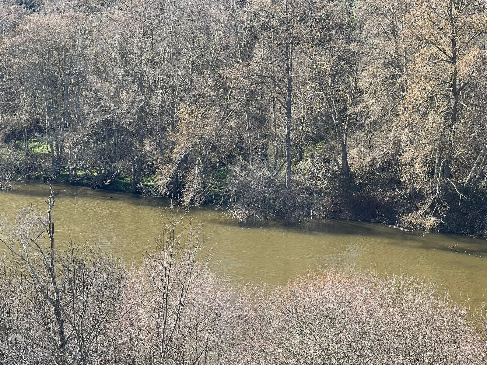 whatsapp-image-2024-01-20-at-13-54-43