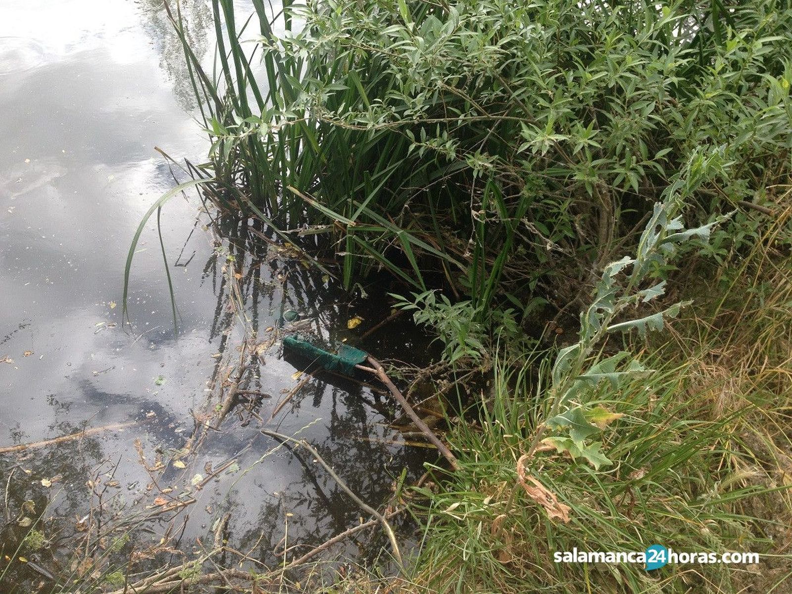 Parque fluvial La Aldehuela (15)