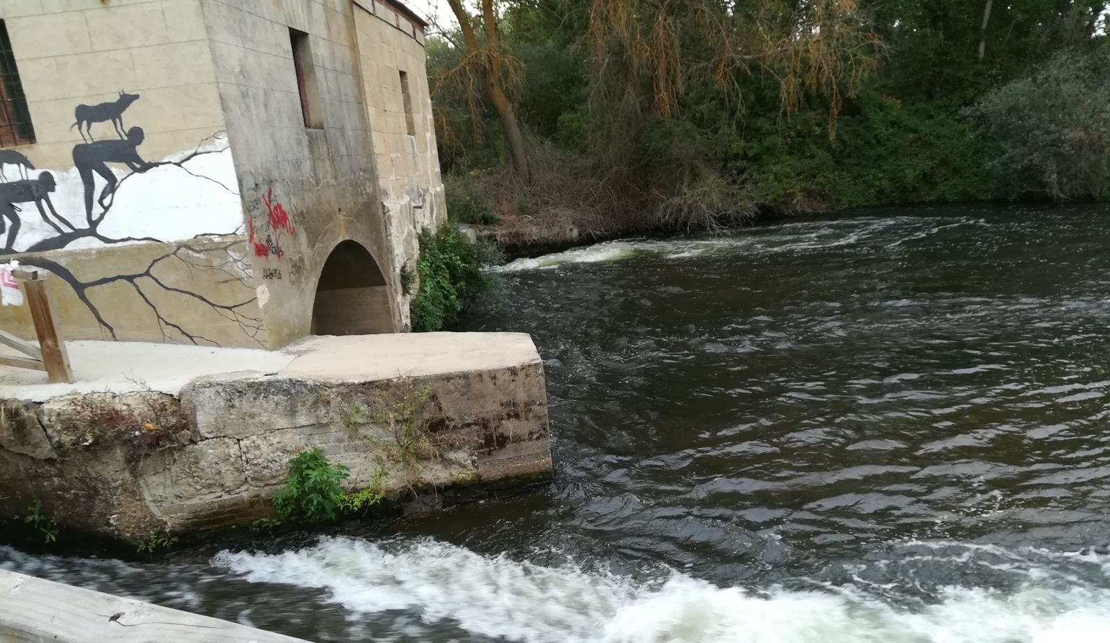 Molino del Canto Villamayor