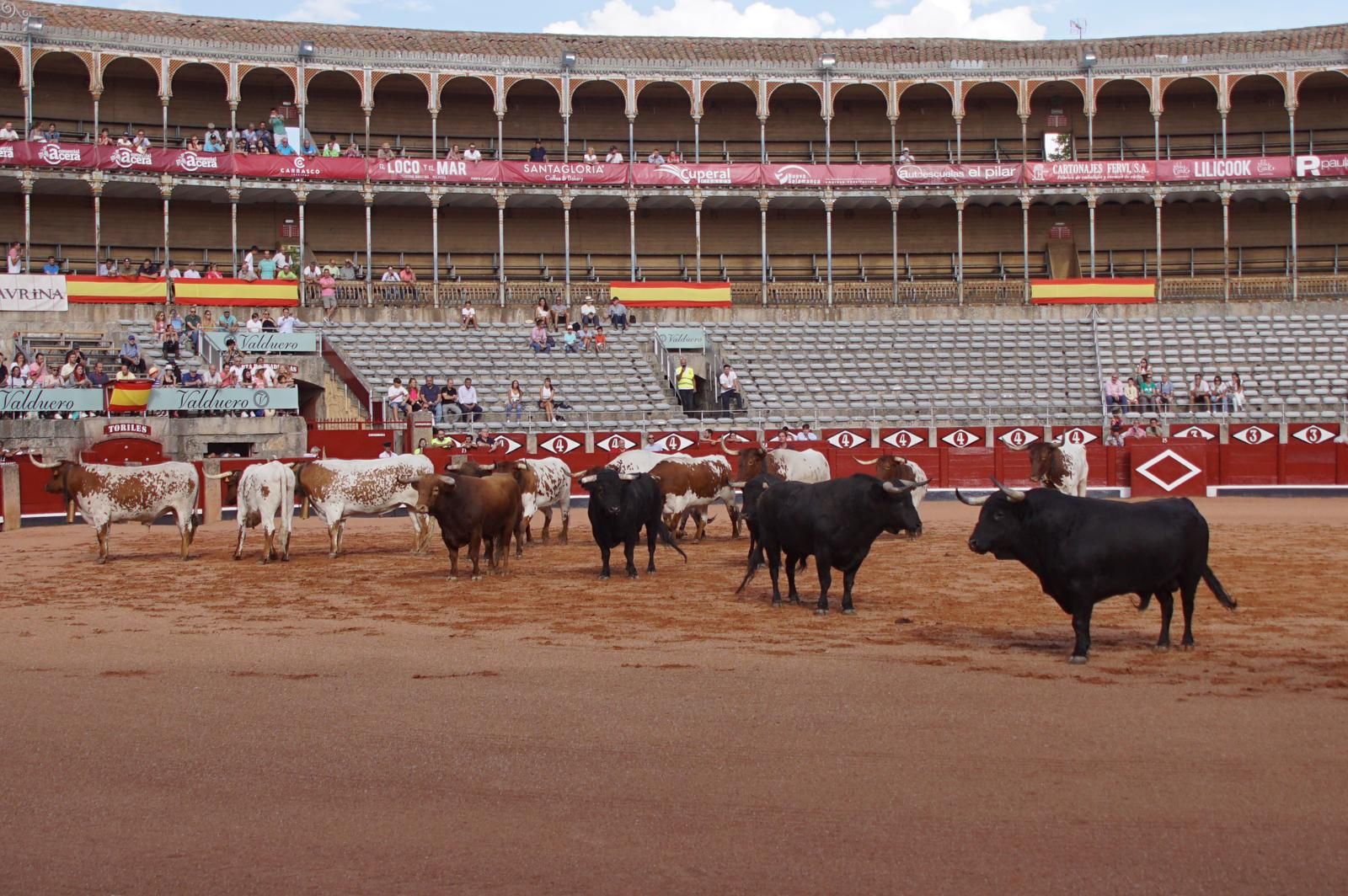 whatsapp-image-2023-09-08-at-19-29-09-3