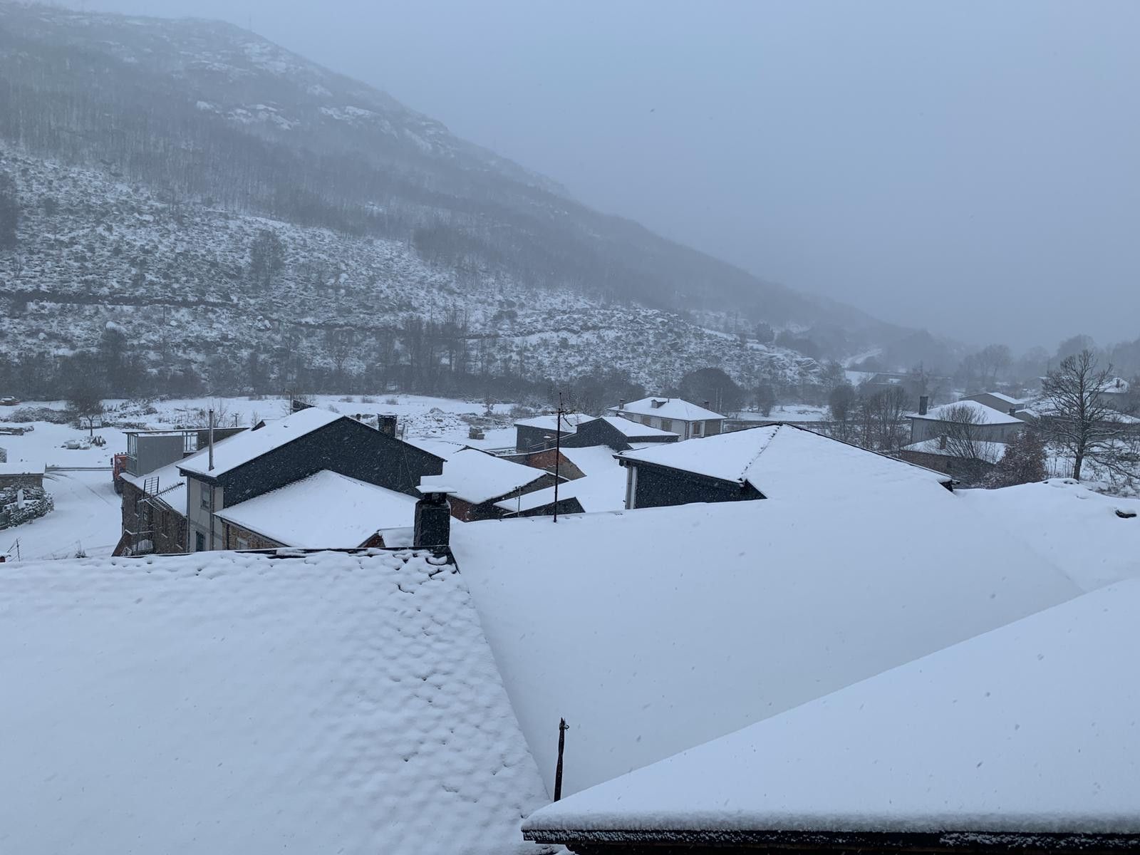 WhatsApp Image 2020 12 29 at 09.57.39